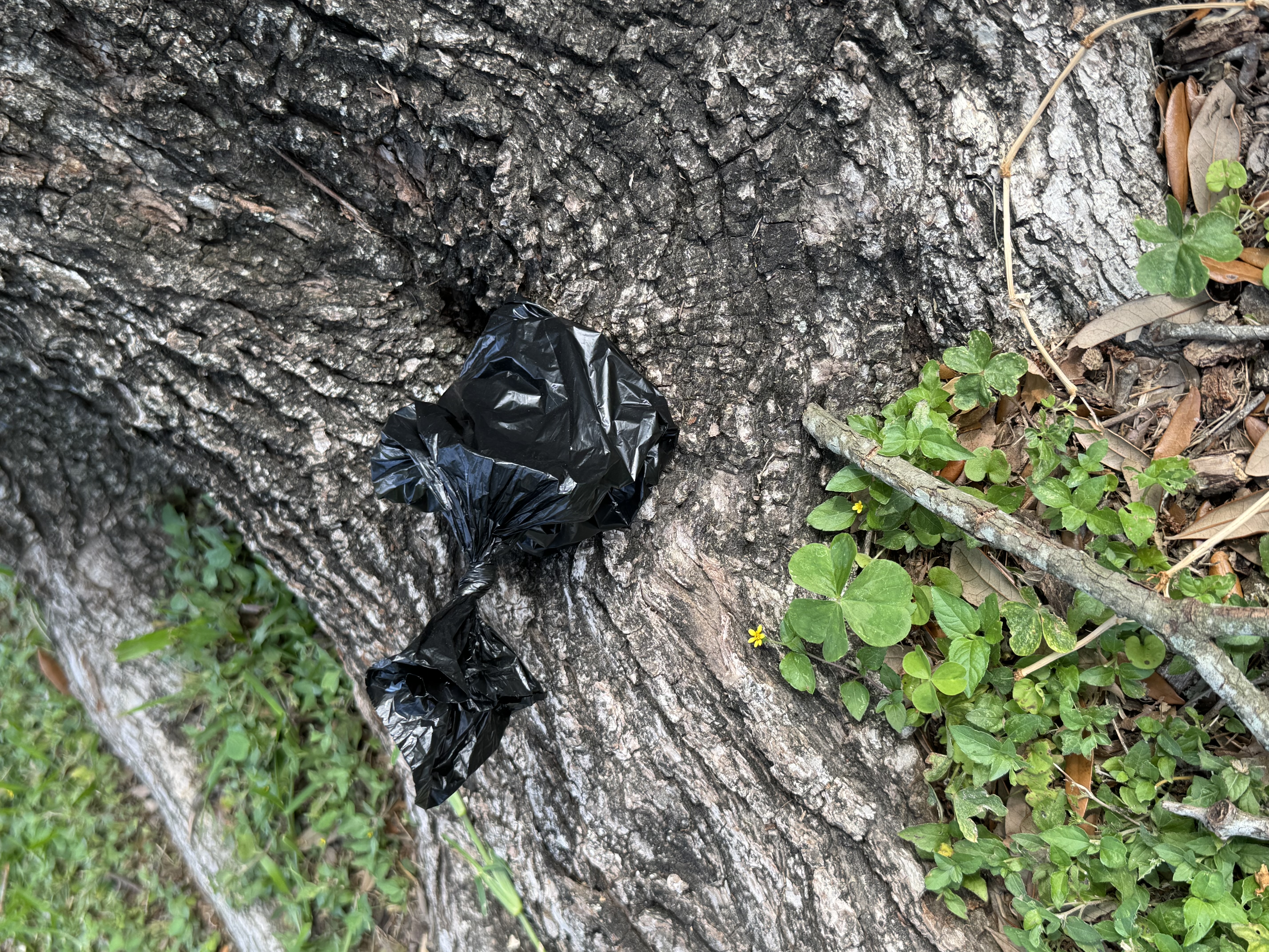 Neighborhood Shitbag
