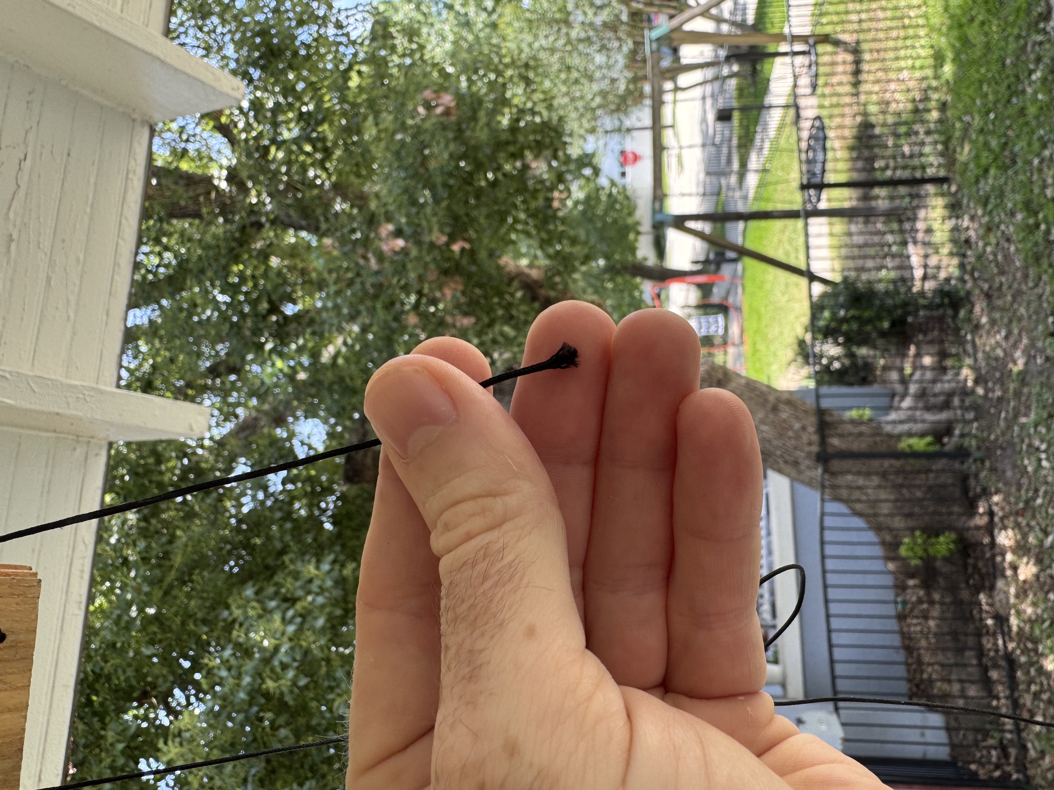 Chimes Vandalism